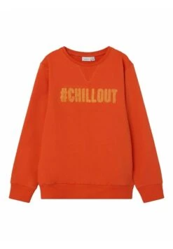 NAME IT Regular Fit - Sweater - Tigerlily