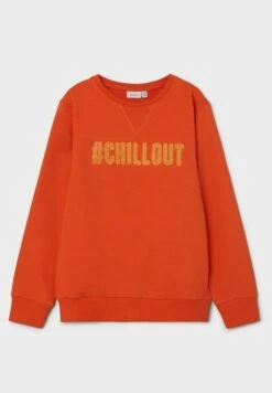 NAME IT Regular Fit - Sweater - Tigerlily -Name It 166b1e44a5d9430d8410f4b6ec39fccf