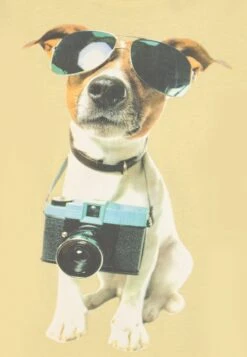 NAME IT Nmmvoto 2 Pack - T-Shirt Print - White Alyssum -Name It 2655ea7c76d2449eb7c415e3d9aba7b3