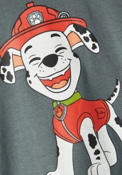 NAME IT Pawpatrol Box Vde - T-Shirt Print - Balsam Green -Name It 8d6437d751794403ac2100455ec798c6