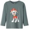 NAME IT Pawpatrol Box Vde - T-Shirt Print - Balsam Green