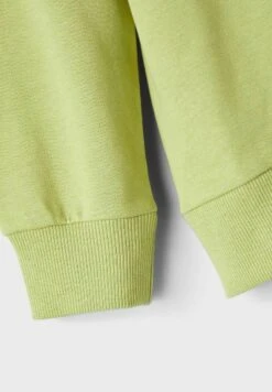 NAME IT Regular Fit - Sweater - Sweet Pea -Name It d828fdf4fb2d43269b0d7a45e59b0610